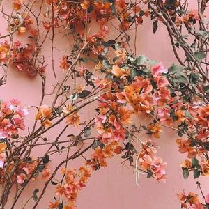 大雷擦大狙视频大全
